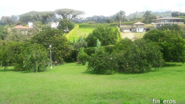 Fincas in the Eje Cafetero: how Quindío, Risaralda and Caldas differ